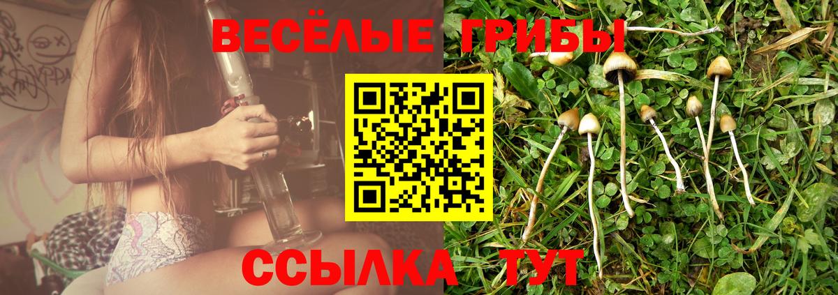 Галлюциногенные грибы MAGIC MUSHROOMS Берёзовский