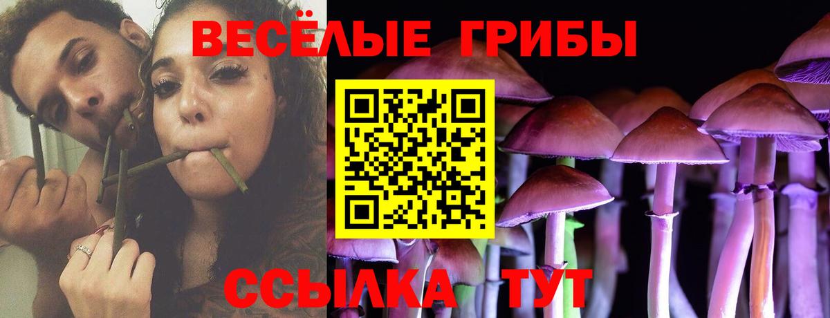 Галлюциногенные грибы ЛСД  Псилоцибиновые грибы GOLDEN TEACHER  Вход с VPN  Берёзовский 